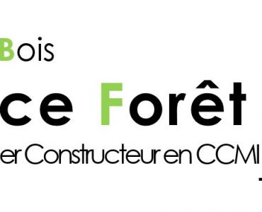 logo maisons france foret constructeur architecte maison bardage et ossature bois en ile de france